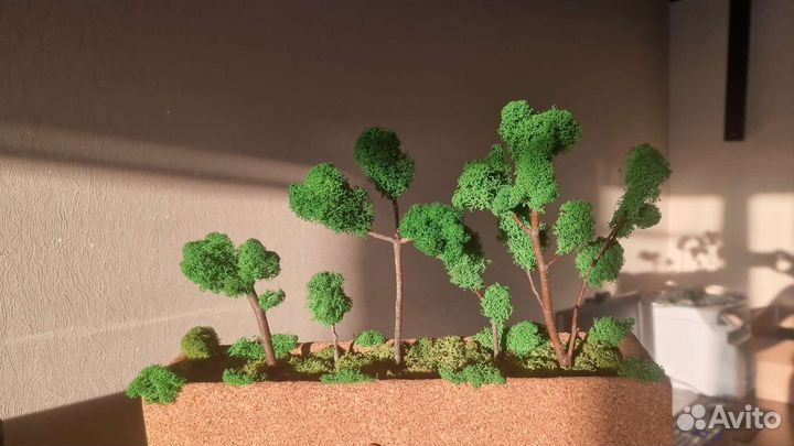 Декор, стабилизированный мох