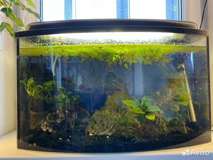 Аквариум