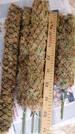 Опора для растений, тотем для растений