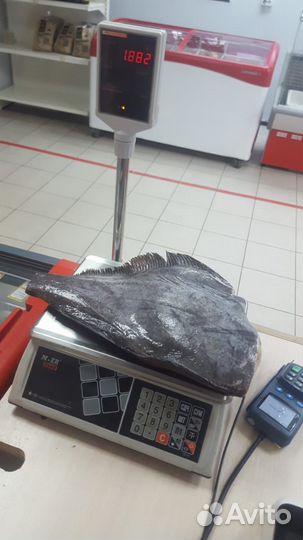 Палтус свежемороженый