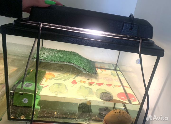 Террариум аквариум для черепахи
