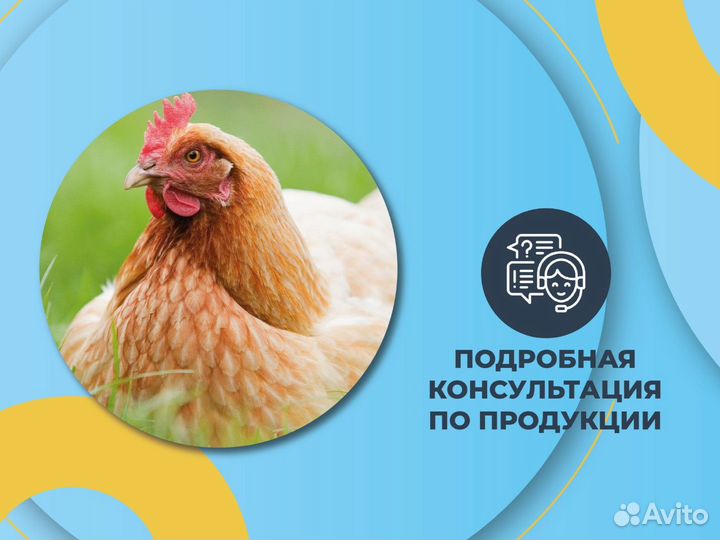 Зерносмесь - 5 видов зерна