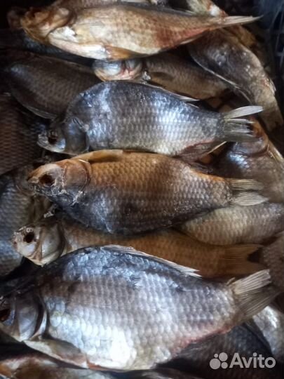 Сушеная Вяленая Рыбка (Тамбовская)