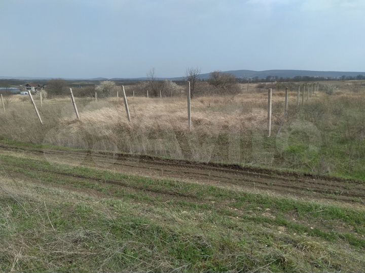 Участок 8 сот. (СНТ, ДНП)