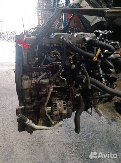 Двигатель Ford Focus 2 2008г. kkda