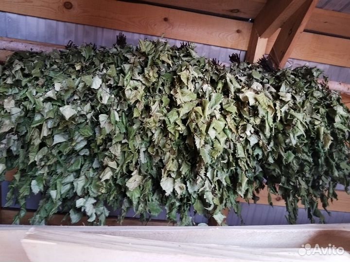 Березовые веники для бани и сауны 2024г