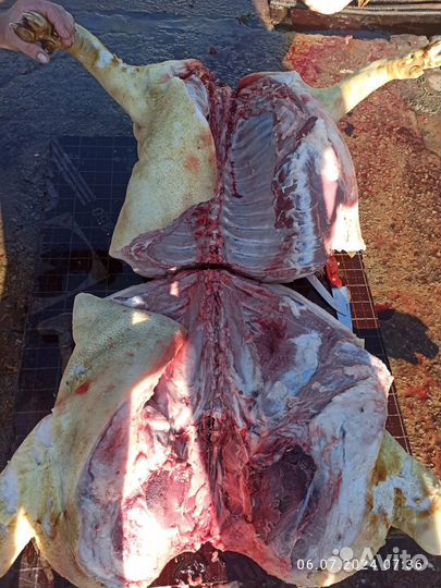 Мясо свинина домашняя