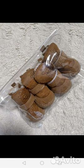 Обувь для маленьких собак