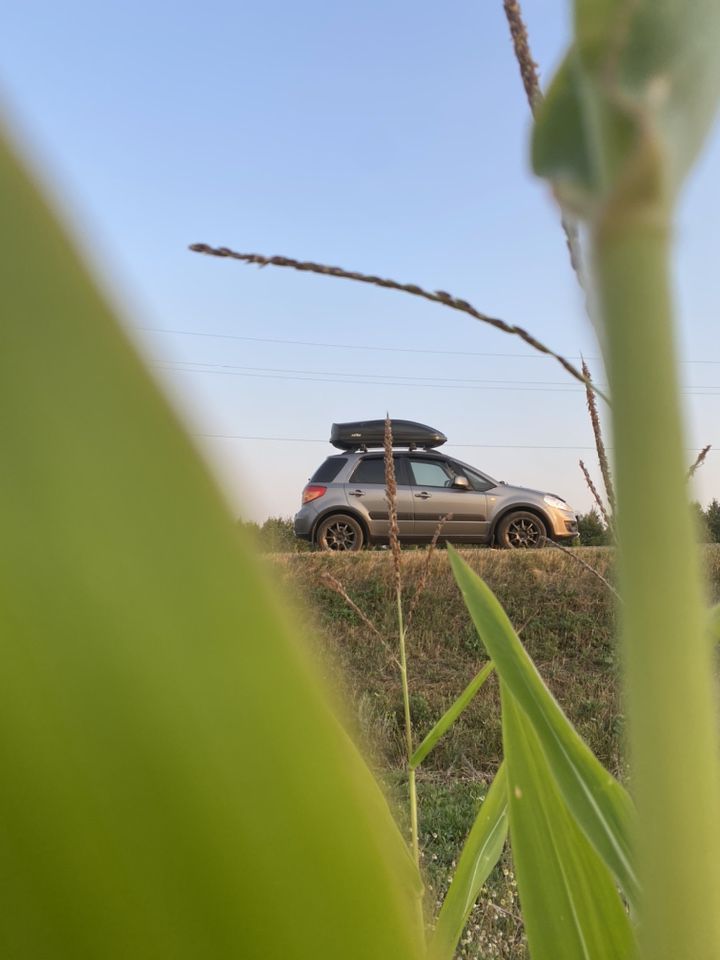Suzuki SX4: фото владельца