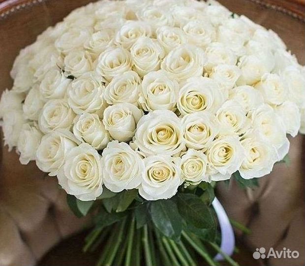 Высокие розы Гигантские розы Доставка цветов