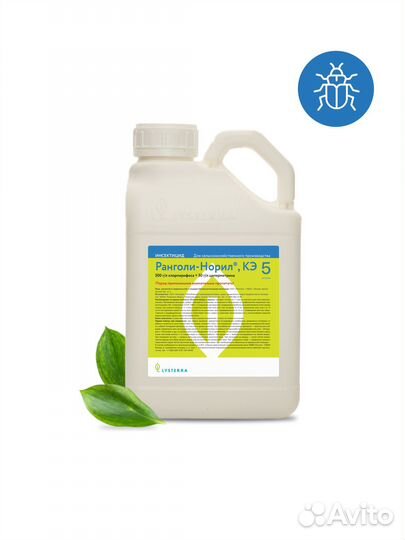 Ранголи-норил, кэ