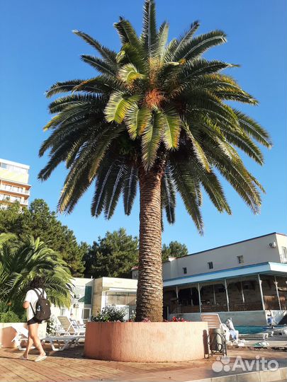 Повара в кафе