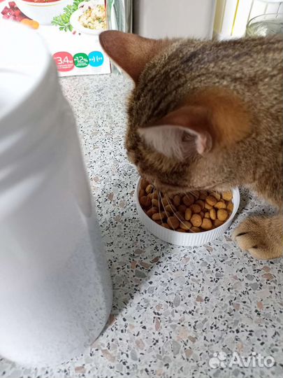 Корм Роял Канин