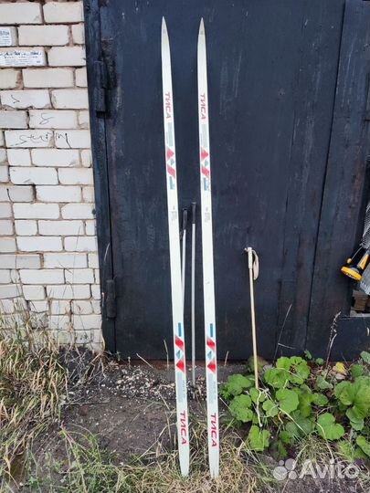 Беговые лыжи