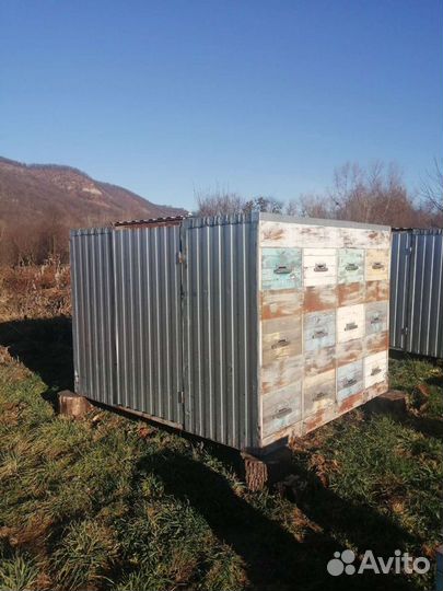 Пчелопавильон