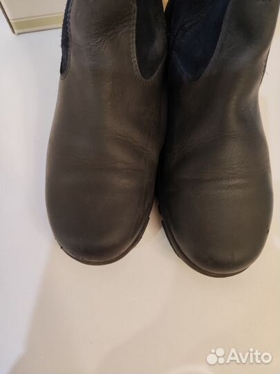 Сапоги кожа Лель демисезонн