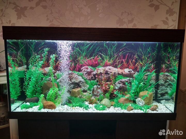 Обслуживание, перезапуск, перевозка аквариумов