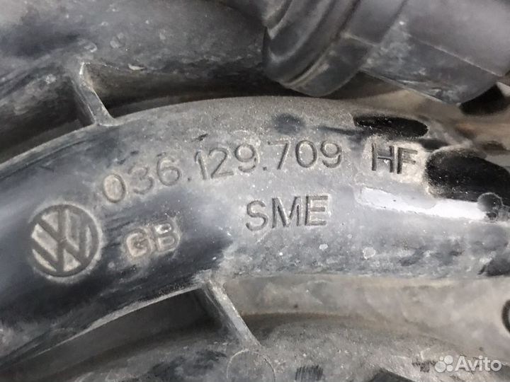 Впускной коллектор 1.6 шкода