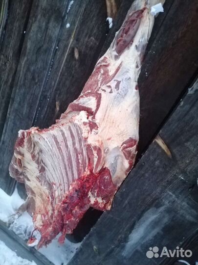 Мясо говядина