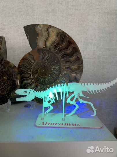 Скелет динозавра