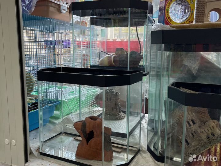 Аквариум, террариум,новый