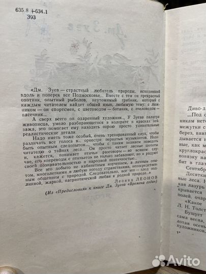 Дары русского леса