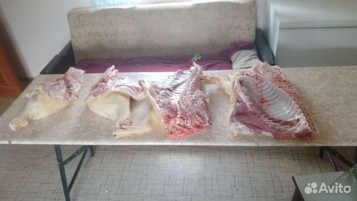 Мясо свинина домашняя