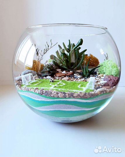 Флорариум с суккулентами. Оригинальный подарок