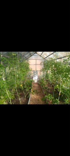 Дача 38 м² на участке 8 сот.