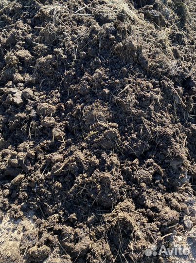 Навоз Перегной Коровий Конский Садовые Удобрения