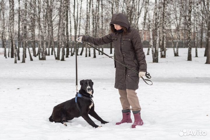 Искра в добрые руки