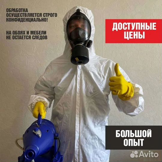 Уничтожение Тараканов Клопов Дезинфекция Муравьев
