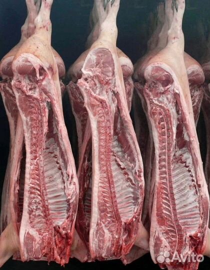 Мясо свинина в тушках