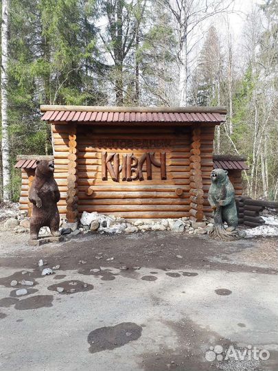 Экскурсия на водопад Кивач и многое другое