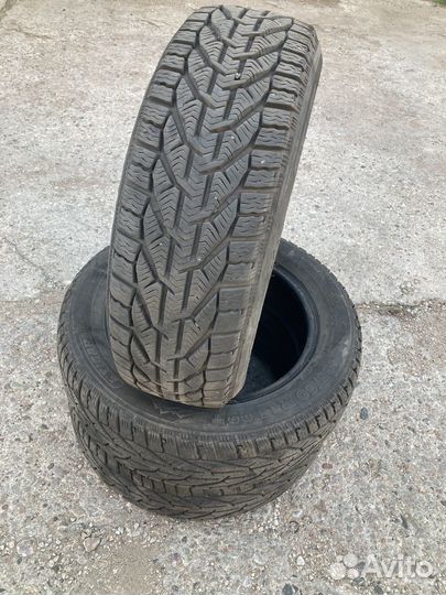 Tigar Winter 185/60 R15 88T