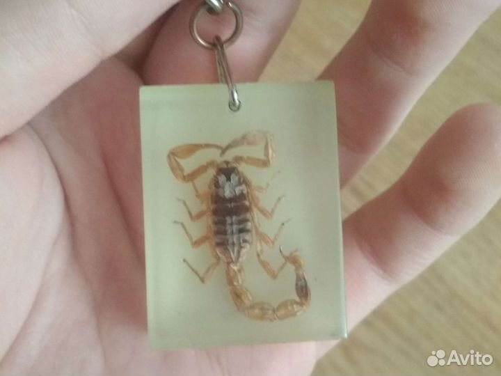 Ядовитый скорпион