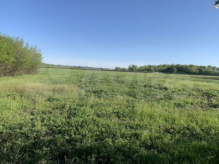 Дом 59,4 м² на участке 50 сот.