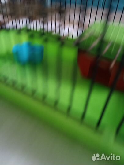 Клетка для грызунов