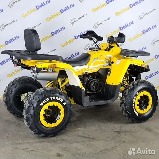 Квадроцикл MotoLand 200 wild track X (2023)