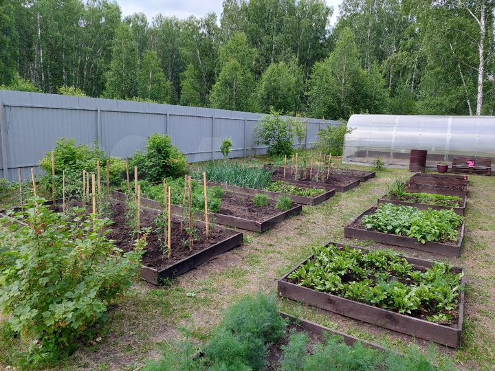 Участок 14 сот. (СНТ, ДНП)