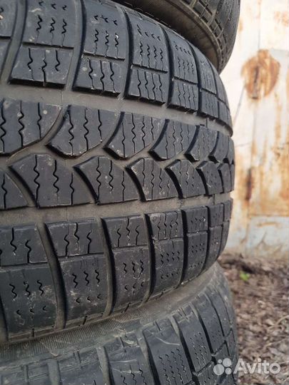 Tigar Winter 215/50 R17 95V