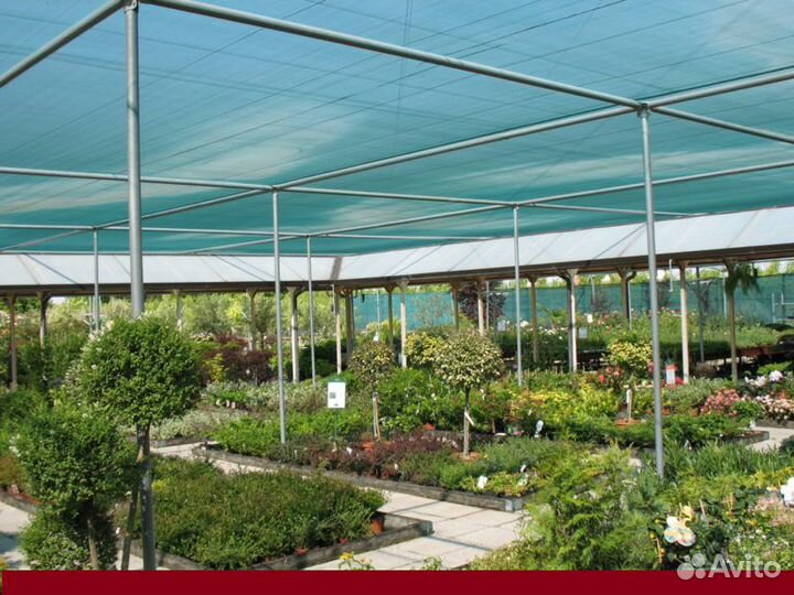 Сетка защитная 55-я на 4 метра темно зеленая