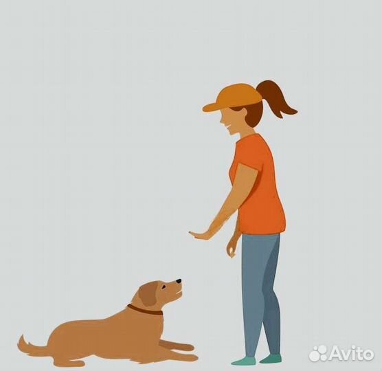 Дрессировка собак разных пород