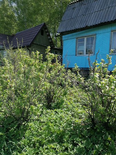 Дача 36 м² на участке 7,4 сот.