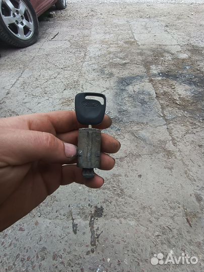 Личинка с ключом