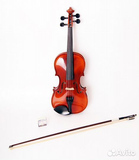 Скрипка студенческая strunal B15-4/4 + Комплект