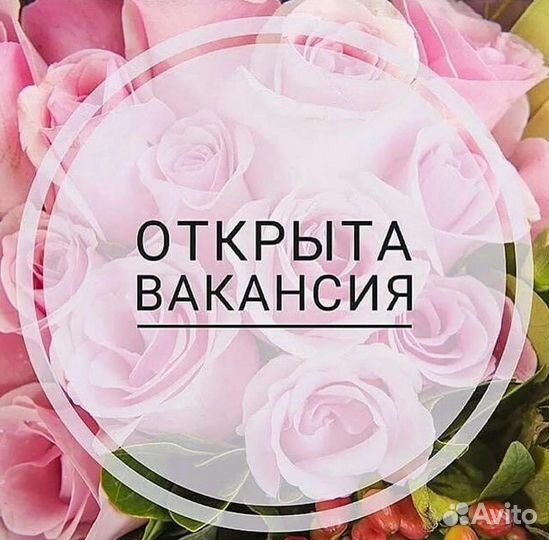 Администратор магазина одежды в ТЦ Соломбала Молл