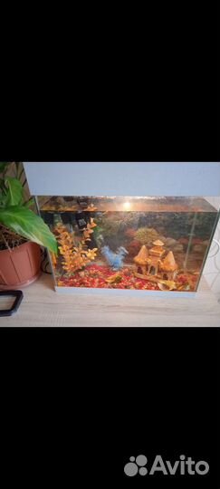 Аквариум 40л