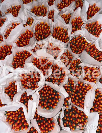 Тюльпаны/ Цветы/ Букеты / Подарок