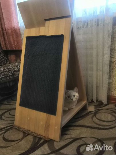 Когтеточка